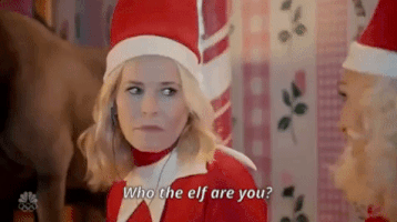 Chelsea Handler Gwen Stefani Christmas Special GIF by NBC