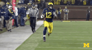 College Football Touchdown GIF by Michigan Athletics