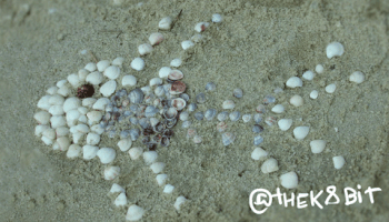 #Fish #Thek #Remundo GIF