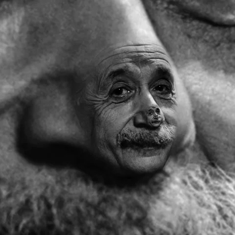 giphy.webp?cid=6c09b952f2179448cc854d7ba