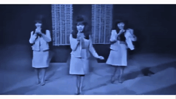 Ronnie Spector GIF by bjorn