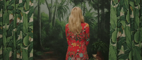 elle fanning laughing GIF by Vimeo