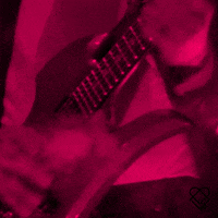 200.gif?cid=fc005b08092c7da7387852ceb2153956505b25a06715a419&rid=200.gif&ct=g