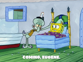 season 5 new digs GIF by SpongeBob SquarePants