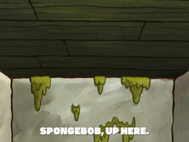 season 7 episode 13 GIF by SpongeBob SquarePants