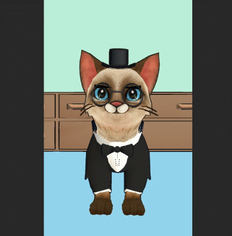 Cat Tuxedo GIF