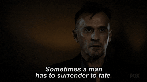 giphy.gif?cid=6c09b952ftuv2vmsoqno7lz1xc