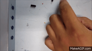 ritsasv accesorio smarthphone plug audio cable auricular adaptador de audio GIF