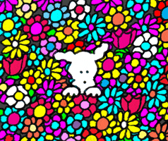 flowers GIF by Chippy the dog