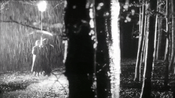 katsliman veronika voss GIF