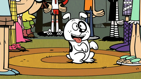 The Loud House Pets GIF by Nickelodeon - Find & Share on GIPHY