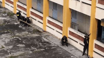 patalie spy tactics espionage GIF