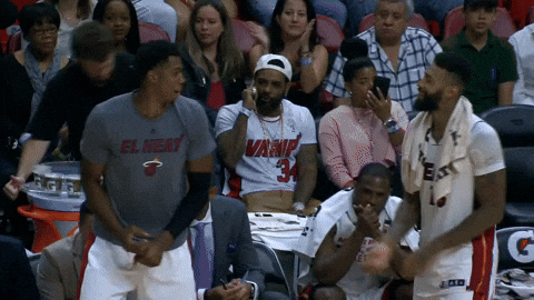 hassan whiteside homerun GIF by NBA