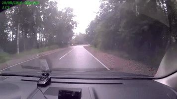 cristidorombach  GIF