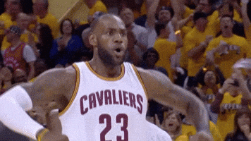 Excited Lebron James GIF by NBA