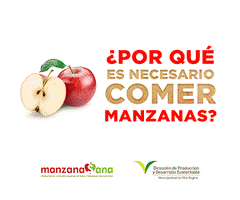 Manzana Comida Sana GIF by Municipalidad de Villa Regina
