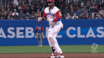 Republica Dominicana Baseball GIF by MLB
