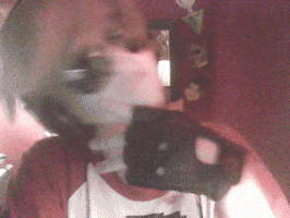 dandelion  GIF