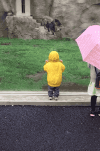 gifail  GIF