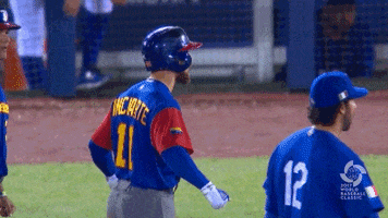 world baseball classic venezuela GIF by MLB
