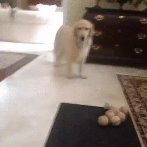 muddymelly  GIF