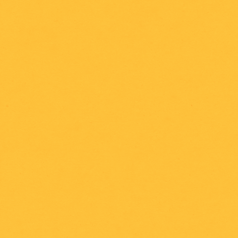 bycc  GIF