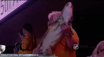 nashville predators catfish guitar GIF by NHL