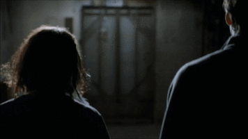 sarahwaynecalliesbrasil colony usa GIF