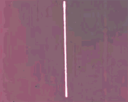 animation motion graphics GIF by Ryan Seslow