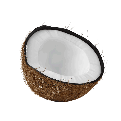 Coconut Stivesmixingbar Sticker by Stives for iOS & Android GIPHY
