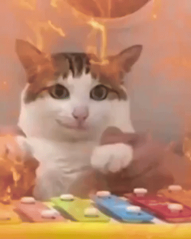 Cat GIF