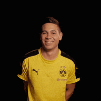 raphael guerreiro omg GIF by Borussia Dortmund