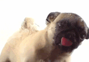 Thunderstorm  GIF