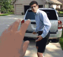 udisea  GIF