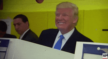 Voting Donald Trump GIF by Election 2016