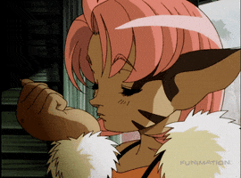merle GIF by Funimation