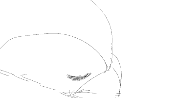 pddesignstudio animation gamedev indiedev indiegame GIF