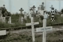 Juanda2016  GIF