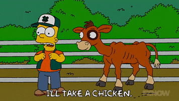 200.gif?cid=fc005b08e8df71192a3a0fcd88f1f3705eb46377763e61f7&rid=200.gif&ct=g