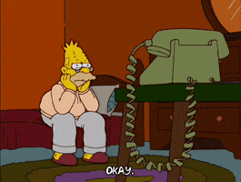 Episode 16 Phone GIF by The Simpsons