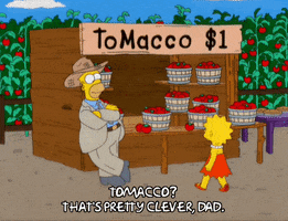 Image result for simpsons tomacco gif