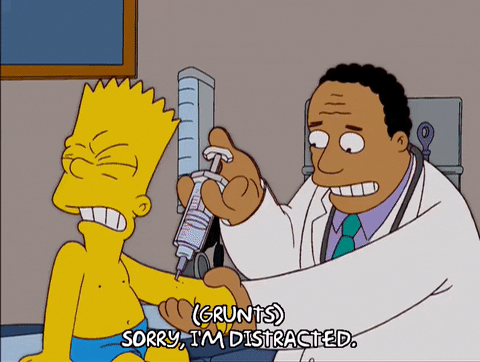 giphy.gif?cid=ecf05e47gmn24k5j84qq29hqdr