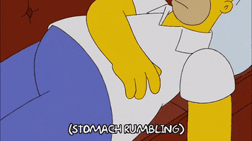 homer simpson season 20 episode 21 hungry fat