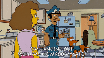 200.gif?cid=fc005b08307133822dac65daab6a7af40cdda3b8cb0ec2f7&rid=200.gif&ct=g