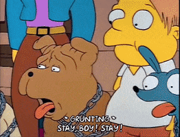 Season 2 Dog GIF by The Simpsons
