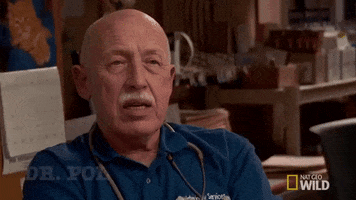 nat geo wild pet GIF by The Incredible Dr. Pol