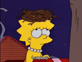 200.gif?cid=fc005b08110844fbe14511b73ebbf6aed093f5ac59a8670f&rid=200.gif&ct=g