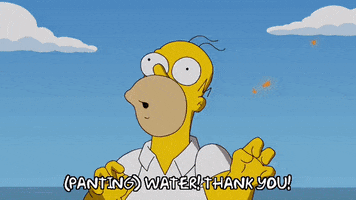 Episode 18 Water GIF by The Simpsons