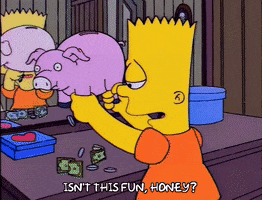 200.gif?cid=fc005b08851571c0ebbff85a3cf5c19cfa08f325ed00c371&rid=200.gif&ct=g