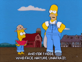 200.gif?cid=fc005b080d75c11f9535fca32a75cf0223798710b8b9ec89&rid=200.gif&ct=g